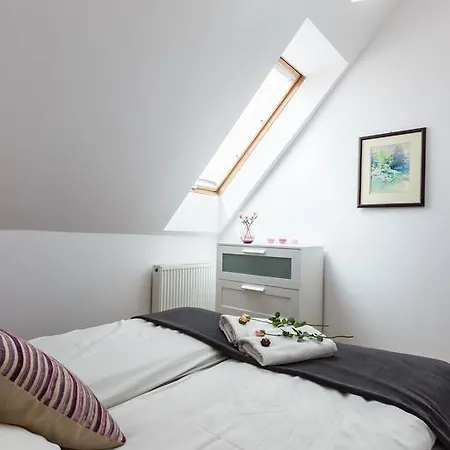 Styl Radowid Z Basenem, Centrum Miasta Zakopane