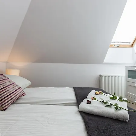 Styl Radowid Z Basenem, Centrum Miasta * زاكوباني