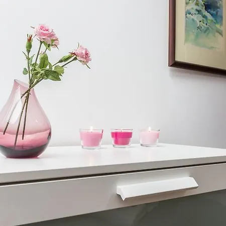 Styl Radowid Z Basenem, Centrum Miasta *